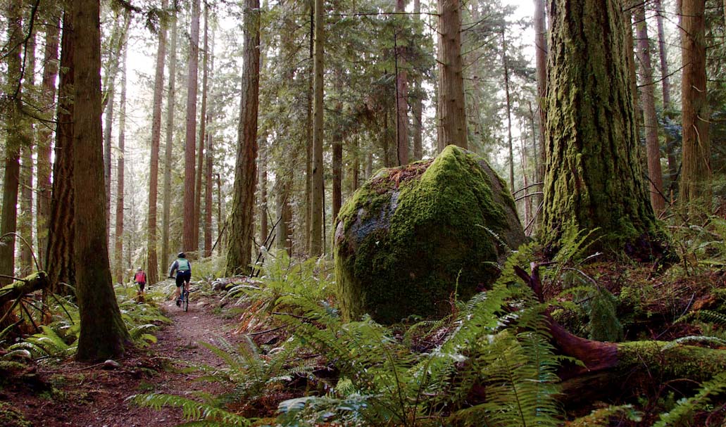 Best Hikes Near Seattle For Kids And Families | ParentMap